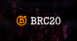 brc20